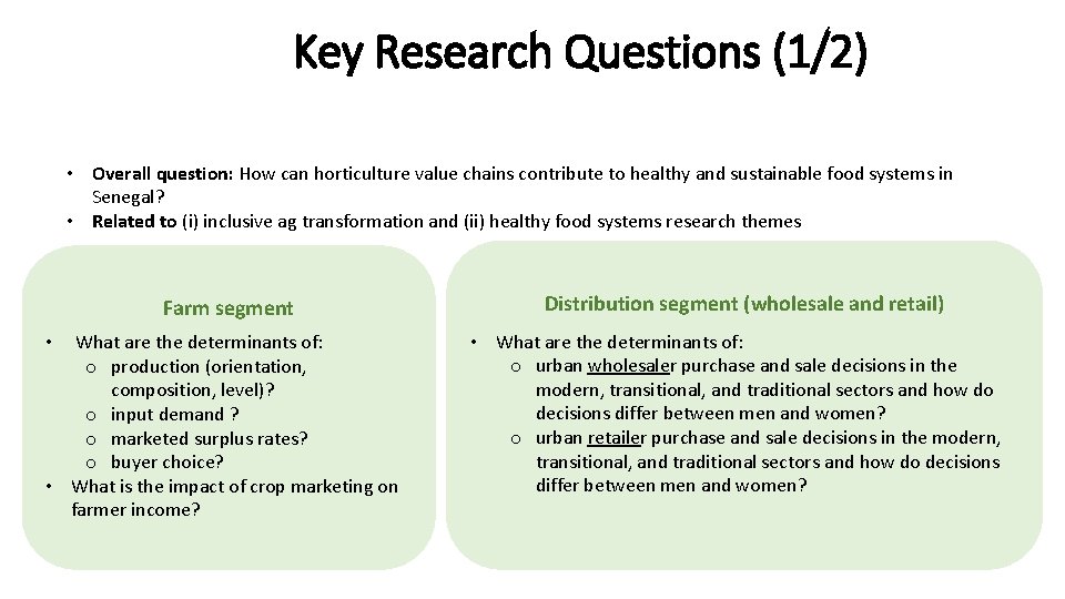 Key Research Questions (1/2) • Overall question: How can horticulture value chains contribute to