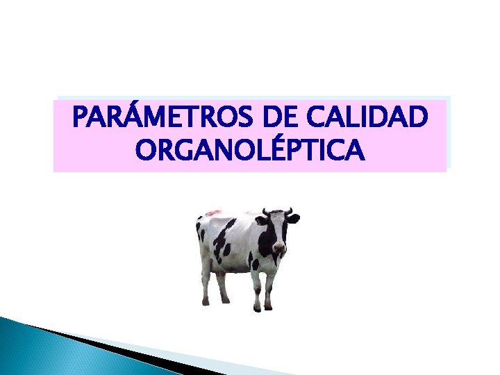 PARÁMETROS DE CALIDAD ORGANOLÉPTICA 