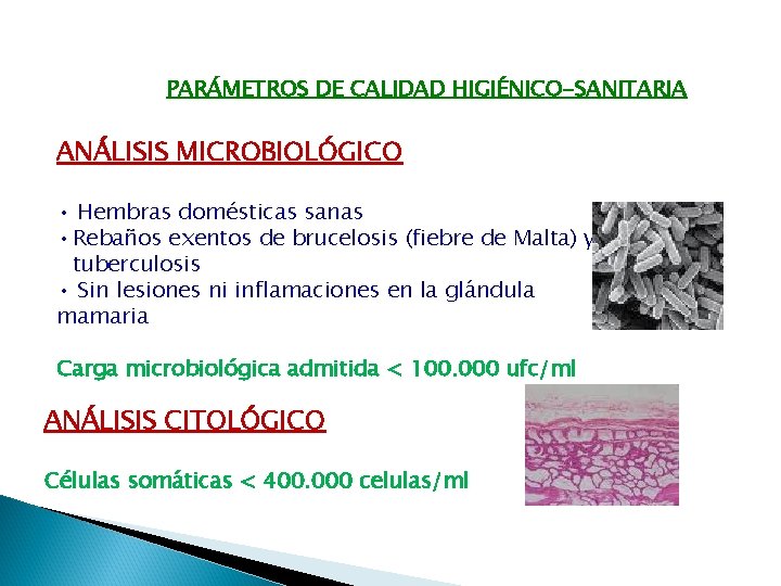 PARÁMETROS DE CALIDAD HIGIÉNICO-SANITARIA ANÁLISIS MICROBIOLÓGICO • Hembras domésticas sanas • Rebaños exentos de