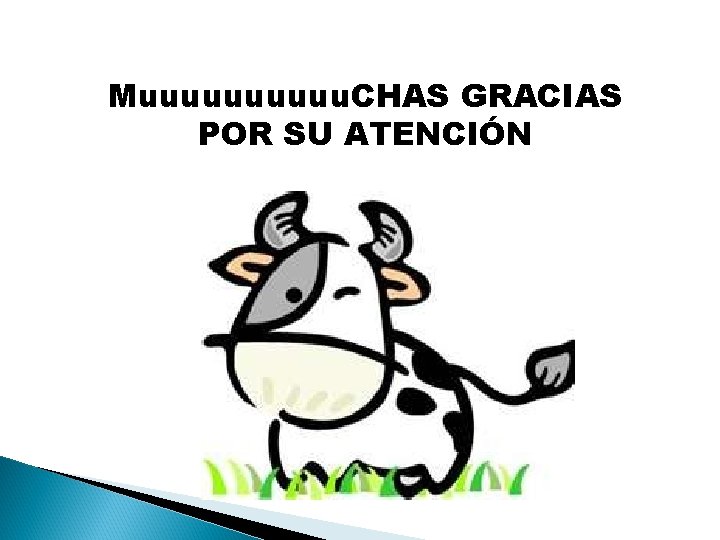 Muuuuu. CHAS GRACIAS POR SU ATENCIÓN 