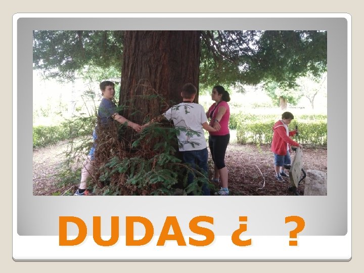 DUDAS ¿ ? 