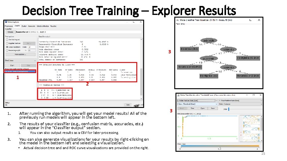 Decision Tree Training – Explorer Results 3 1 2 1. After running the algorithm,
