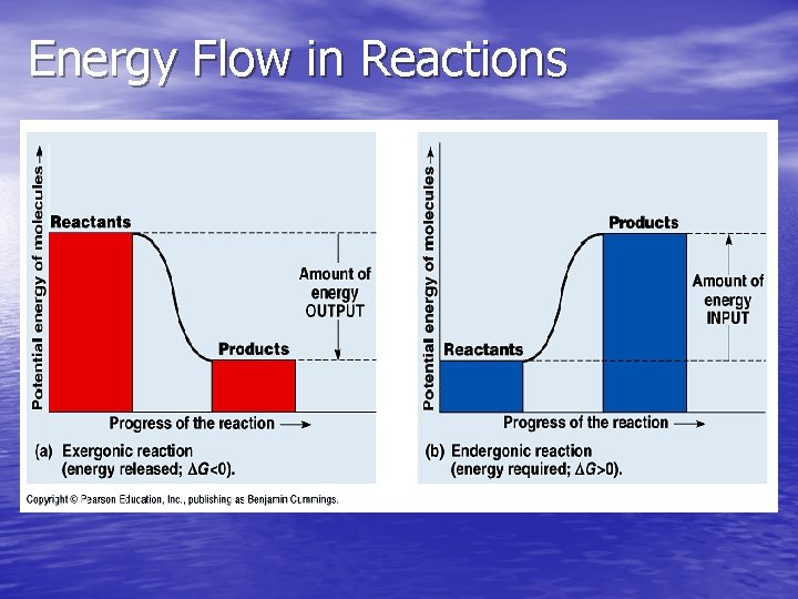 Energy Flow in Reactions 