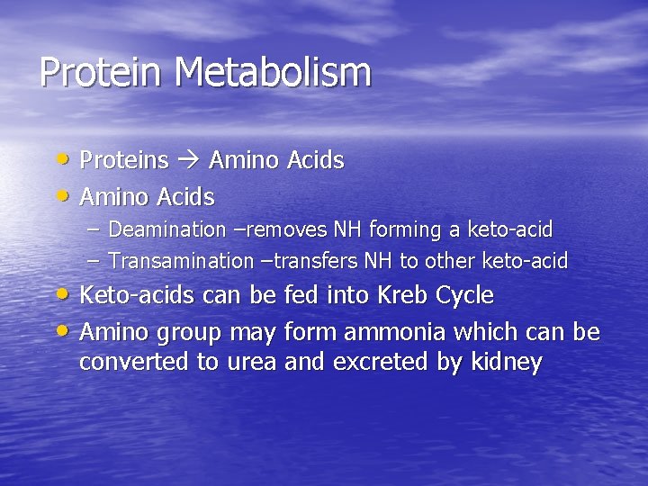 Protein Metabolism • Proteins Amino Acids • Amino Acids – Deamination –removes NH forming
