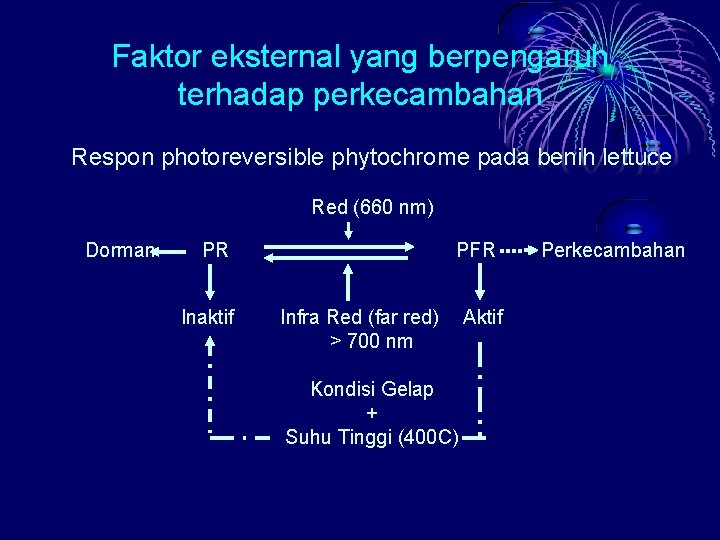 Faktor eksternal yang berpengaruh terhadap perkecambahan Respon photoreversible phytochrome pada benih lettuce Red (660