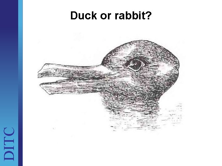 DITC Duck or rabbit? Unit Brief 