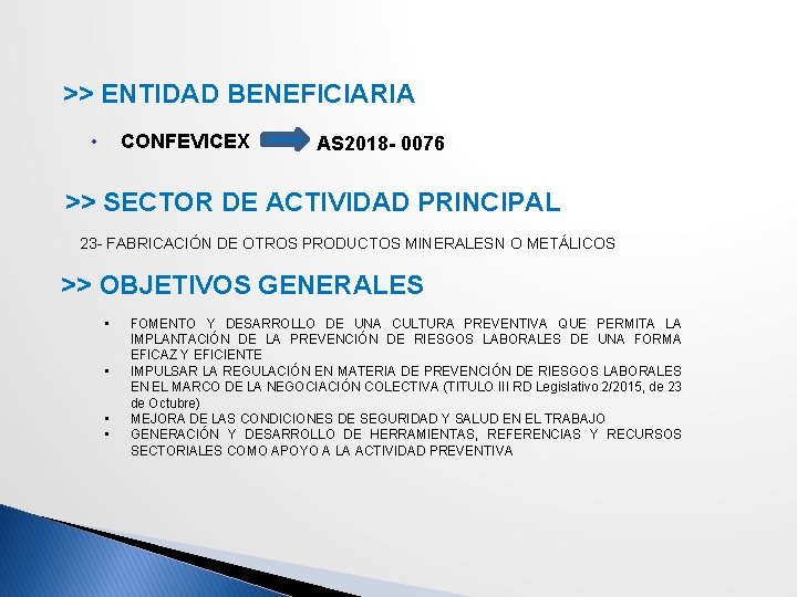 >> ENTIDAD BENEFICIARIA • CONFEVICEX AS 2018 - 0076 >> SECTOR DE ACTIVIDAD PRINCIPAL