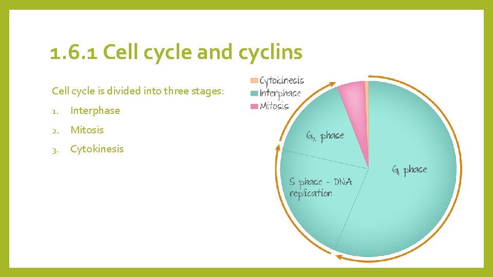 1. 6. 1 Cell cycle and cyclins Cell cycle is divided into three stages: