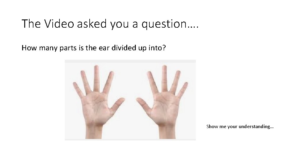 The Video asked you a question…. How many parts is the ear divided up