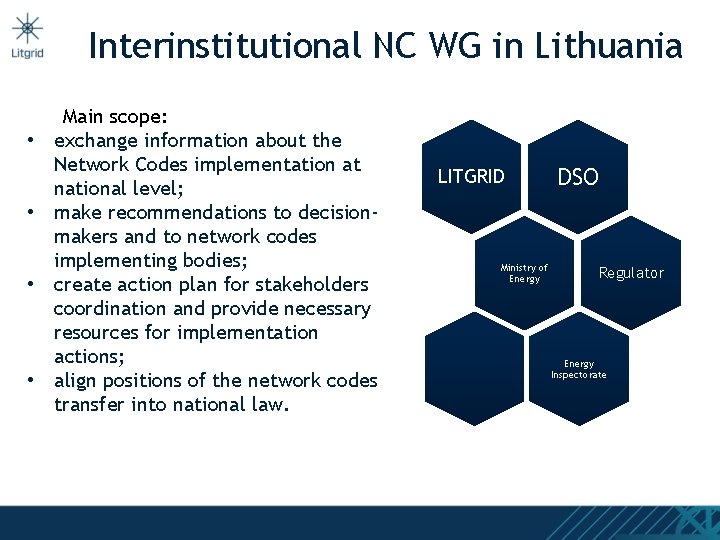Interinstitutional NC WG in Lithuania • • Main scope: exchange information about the Network