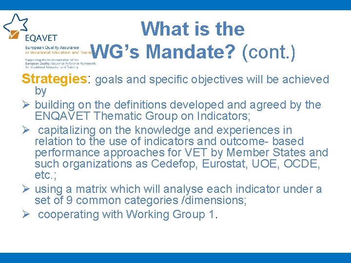 What is the WG’s Mandate? (cont. ) Strategies: goals and specific objectives will be