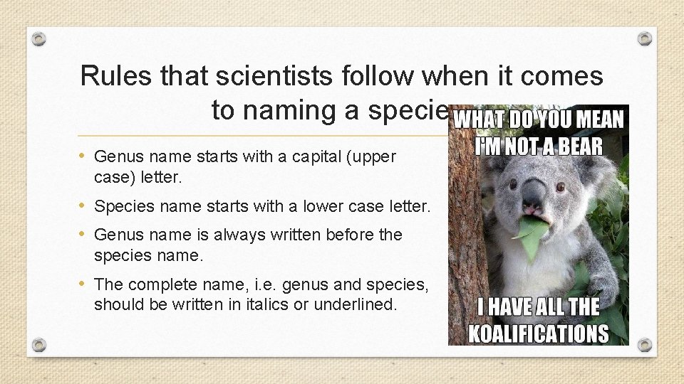 Rules that scientists follow when it comes to naming a species: • Genus name Rules that scientists follow when it comes to naming a species: • Genus name