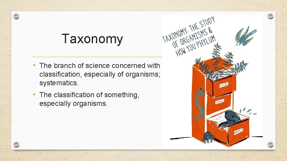 Taxonomy • The branch of science concerned with classification, especially of organisms; systematics. • Taxonomy • The branch of science concerned with classification, especially of organisms; systematics. •