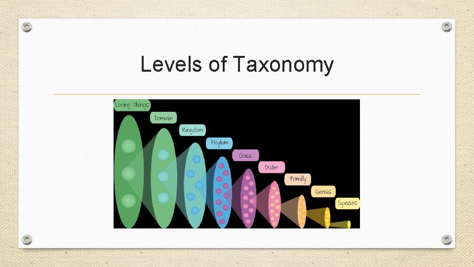 Levels of Taxonomy Levels of Taxonomy