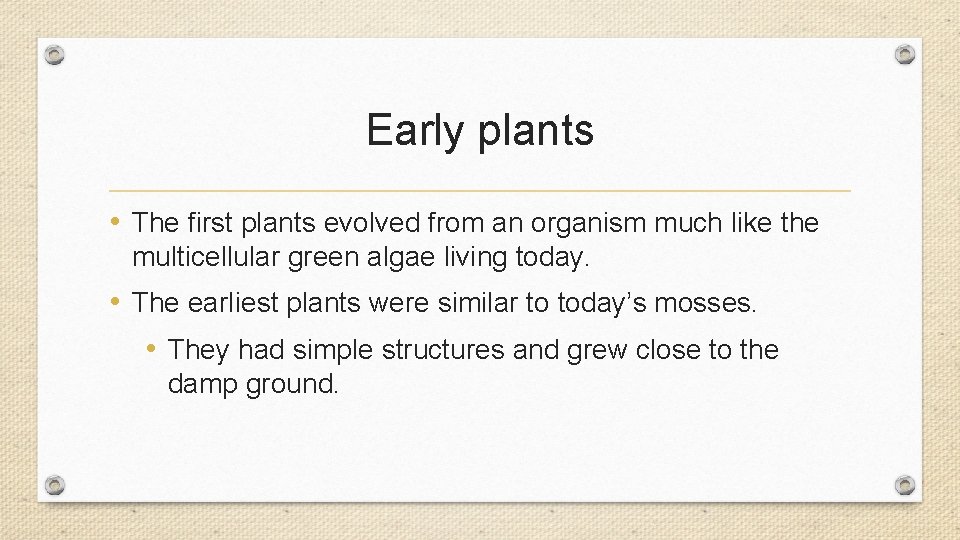 the first phylogenetic system of plant classification was proposed by