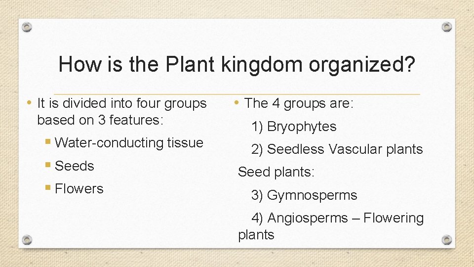 How is the Plant kingdom organized? • It is divided into four groups based How is the Plant kingdom organized? • It is divided into four groups based