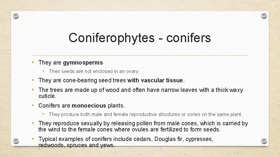 Coniferophytes - conifers • They are gymnosperms • Their seeds are not enclosed in Coniferophytes - conifers • They are gymnosperms • Their seeds are not enclosed in