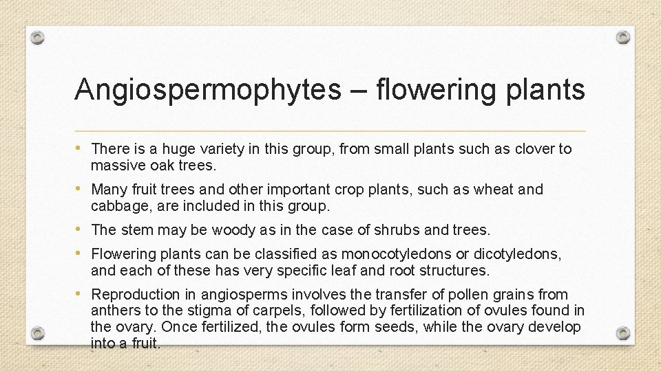 Angiospermophytes – flowering plants • There is a huge variety in this group, from Angiospermophytes – flowering plants • There is a huge variety in this group, from