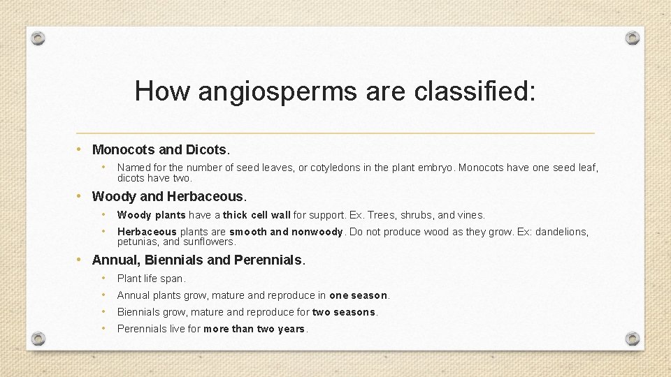 How angiosperms are classified: • Monocots and Dicots. • Named for the number of How angiosperms are classified: • Monocots and Dicots. • Named for the number of