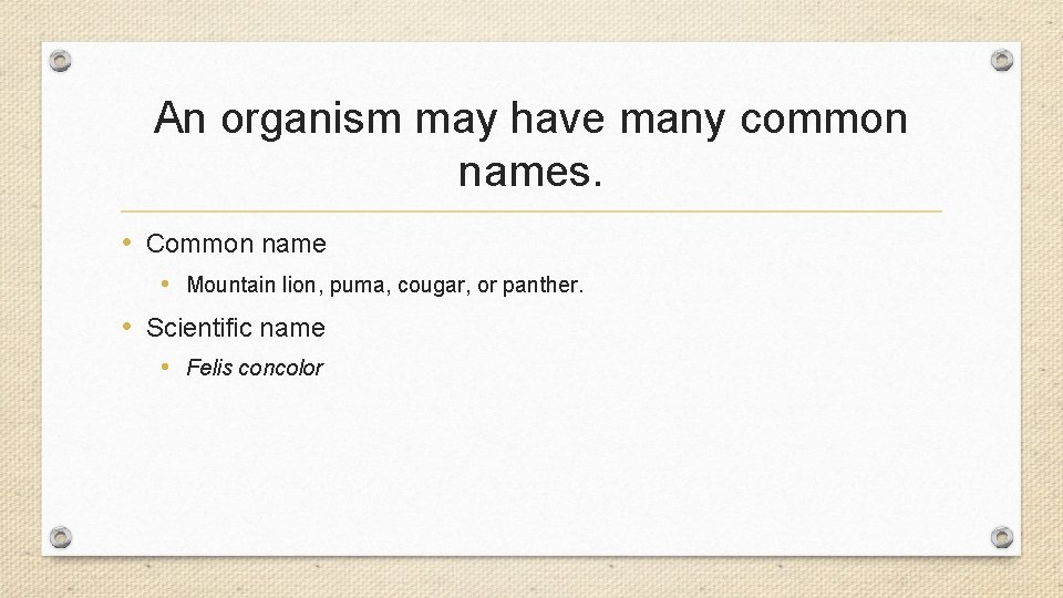An organism may have many common names. • Common name • Mountain lion, puma, An organism may have many common names. • Common name • Mountain lion, puma,