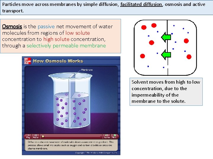 Particles move across membranes by simple diffusion, facilitated diffusion, osmosis and active transport. Osmosis