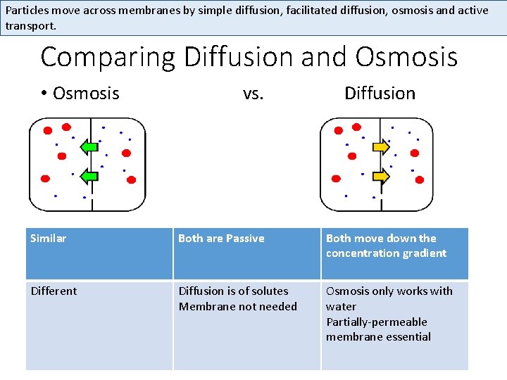 Particles move across membranes by simple diffusion, facilitated diffusion, osmosis and active transport. Comparing