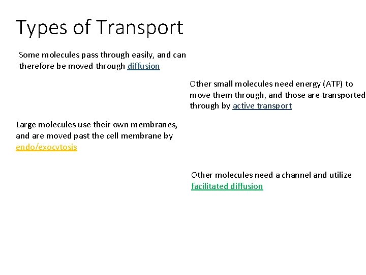 Types of Transport Some molecules pass through easily, and can therefore be moved through