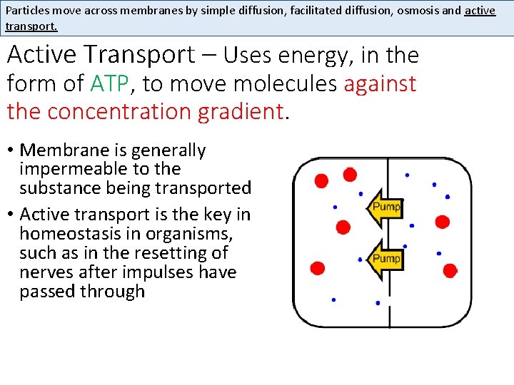 Particles move across membranes by simple diffusion, facilitated diffusion, osmosis and active transport. Active