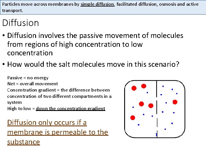 Particles move across membranes by simple diffusion, facilitated diffusion, osmosis and active transport. Diffusion