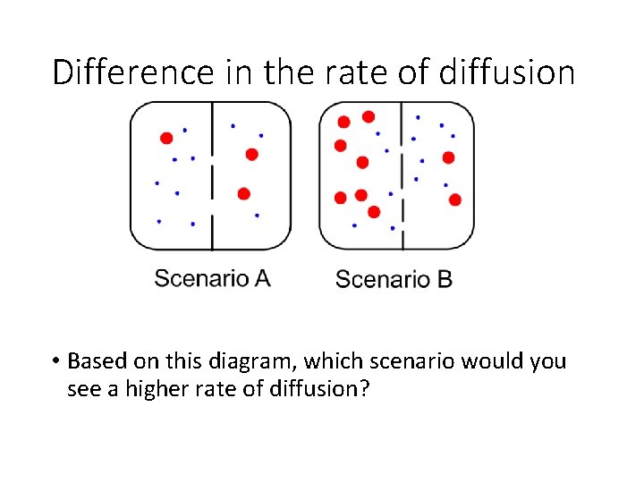 Difference in the rate of diffusion • Based on this diagram, which scenario would