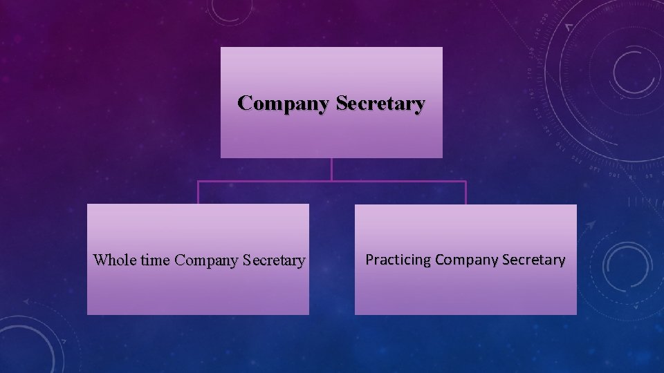 Company Secretary Whole time Company Secretary Practicing Company Secretary 