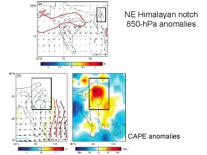 NE Himalayan notch 850 -h. Pa anomalies CAPE anomalies 