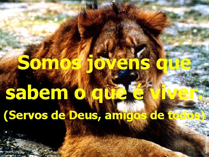 Somos jovens que sabem o que é viver. Marski. Produções® (Servos de Deus, amigos