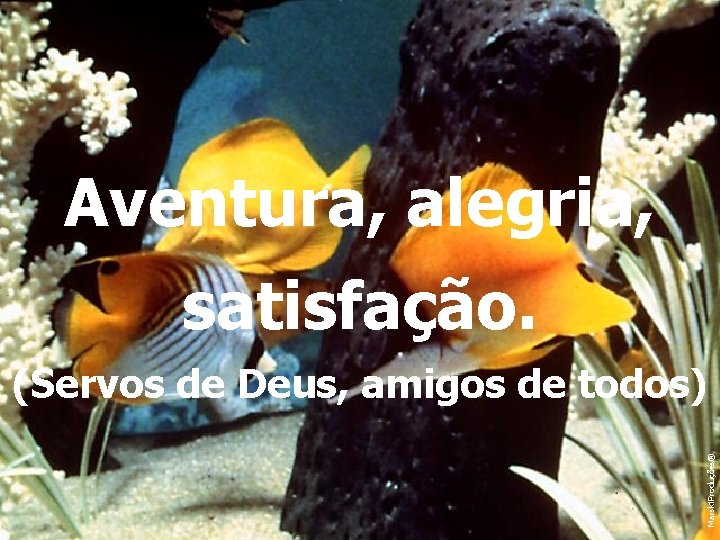 Aventura, alegria, satisfação. Marski. Produções® (Servos de Deus, amigos de todos) 