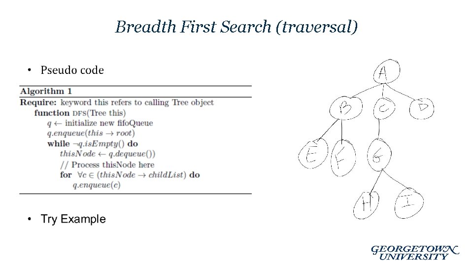 Breadth First Search (traversal) • 