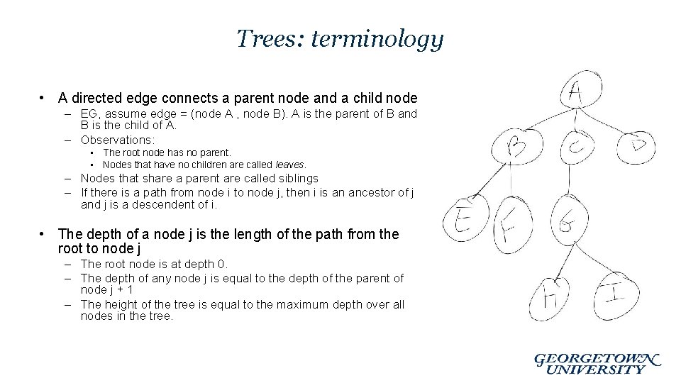 Trees: terminology • A directed edge connects a parent node and a child node