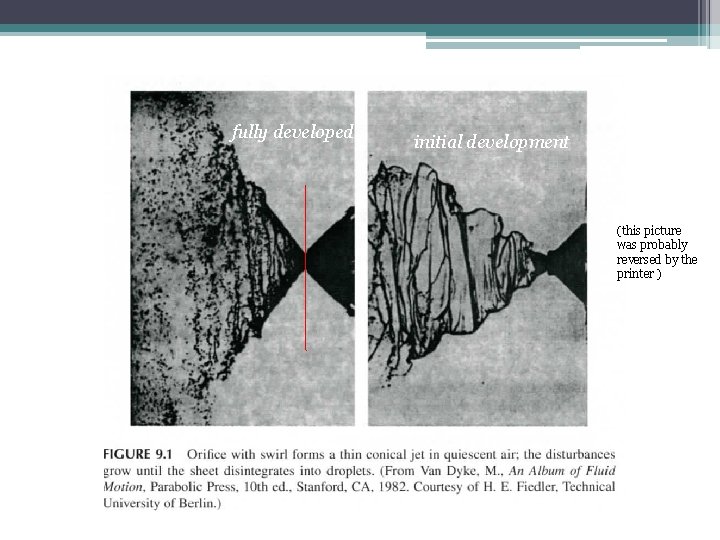 fully developed initial development (this picture was probably reversed by the printer ) 