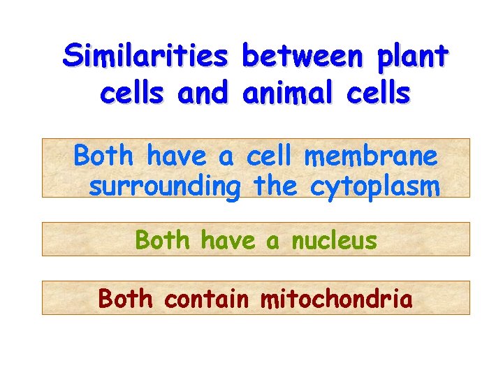 Similarities cells and between plant animal cells Both have a cell membrane surrounding the