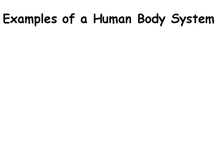 Examples of a Human Body System 
