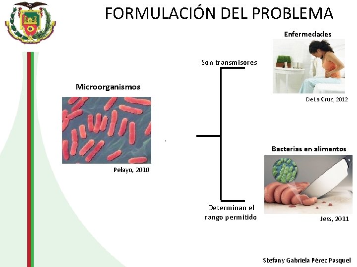 FORMULACIÓN DEL PROBLEMA Enfermedades Son transmisores Microorganismos De La Cruz, 2012 Bacterias en alimentos