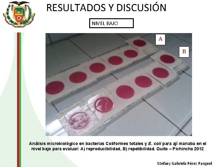 RESULTADOS Y DISCUSIÓN NIVEL BAJO A B Análisis microbiológico en bacterias Coliformes totales y