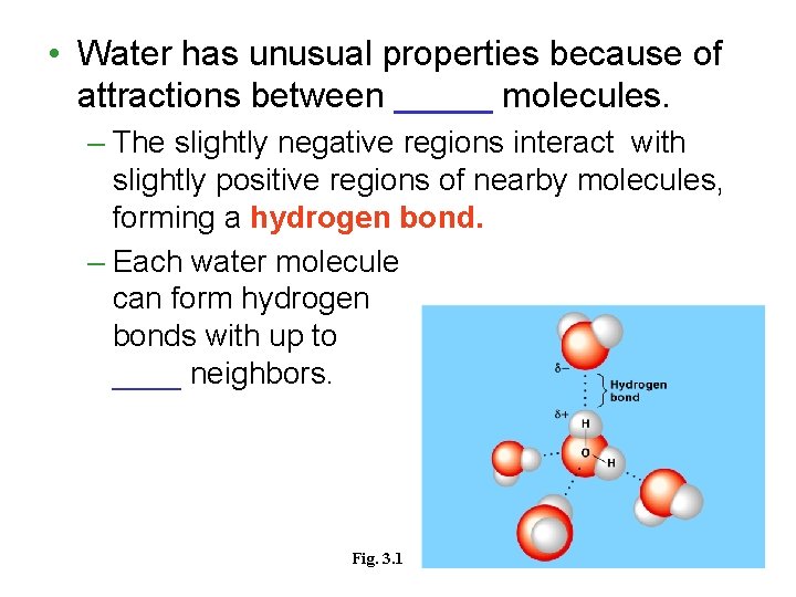  • Water has unusual properties because of attractions between _____ molecules. – The