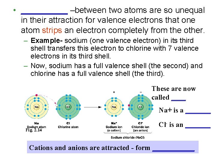 • _____ –between two atoms are so unequal in their attraction for valence