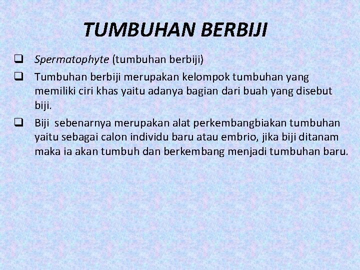 TUMBUHAN BERBIJI q Spermatophyte (tumbuhan berbiji) q Tumbuhan berbiji merupakan kelompok tumbuhan yang memiliki