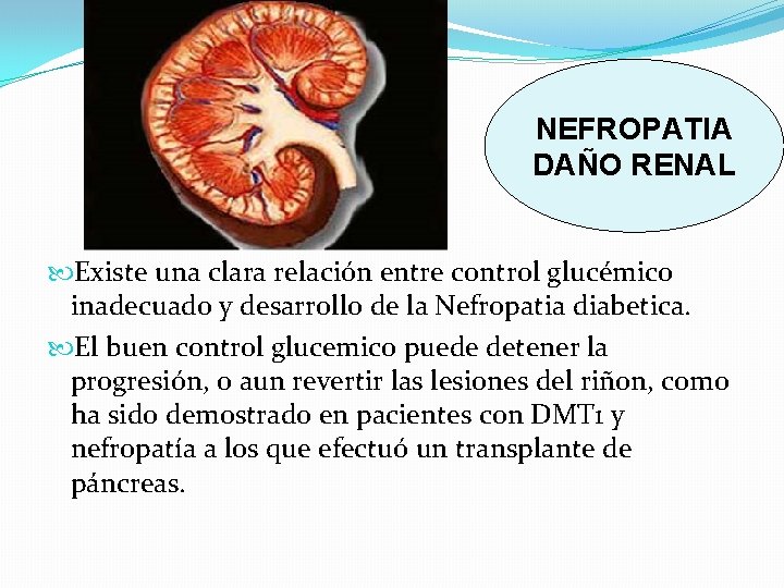 NEFROPATIA DAÑO RENAL Existe una clara relación entre control glucémico inadecuado y desarrollo de