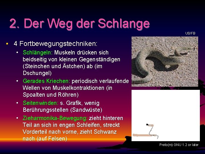 2. Der Weg der Schlange US/FB • 4 Fortbewegungstechniken: • Schlängeln: Muskeln drücken sich