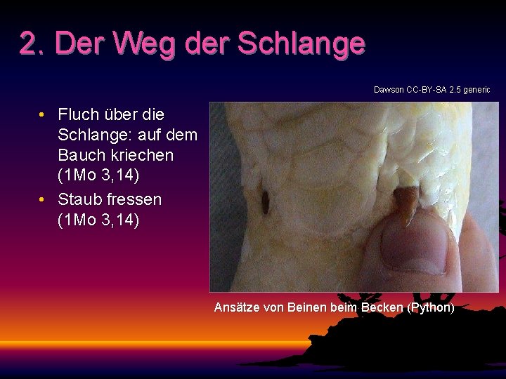 2. Der Weg der Schlange Dawson CC-BY-SA 2. 5 generic • Fluch über die