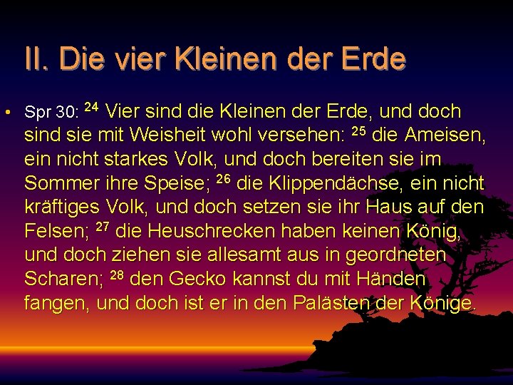 II. Die vier Kleinen der Erde • Spr 30: 24 Vier sind die Kleinen