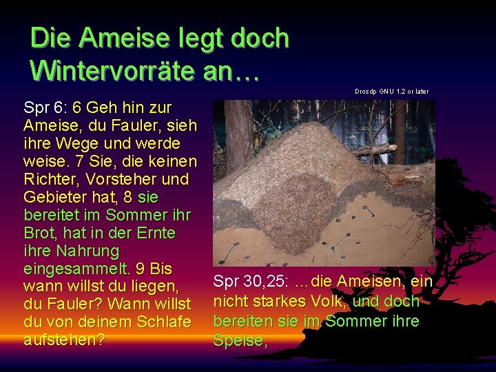 Die Ameise legt doch Wintervorräte an… Drosdp GNU 1. 2 or later Spr 6: