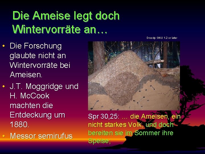 Die Ameise legt doch Wintervorräte an… Drosdp GNU 1. 2 or later • Die